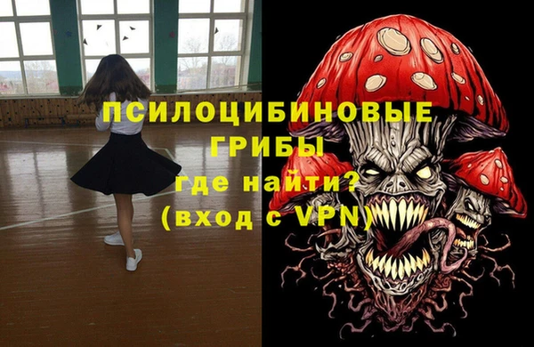 гашик Алексеевка