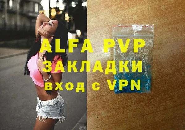 стафф Алзамай
