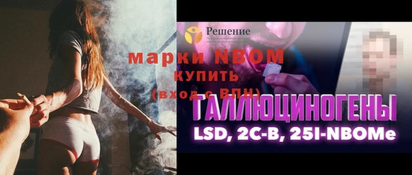 гашик Алексеевка