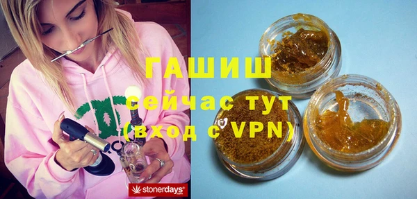 гашик Алексеевка