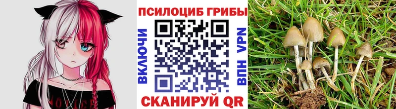 darknet какой сайт  Катав-Ивановск  Галлюциногенные грибы Cubensis  blacksprut сайт 
